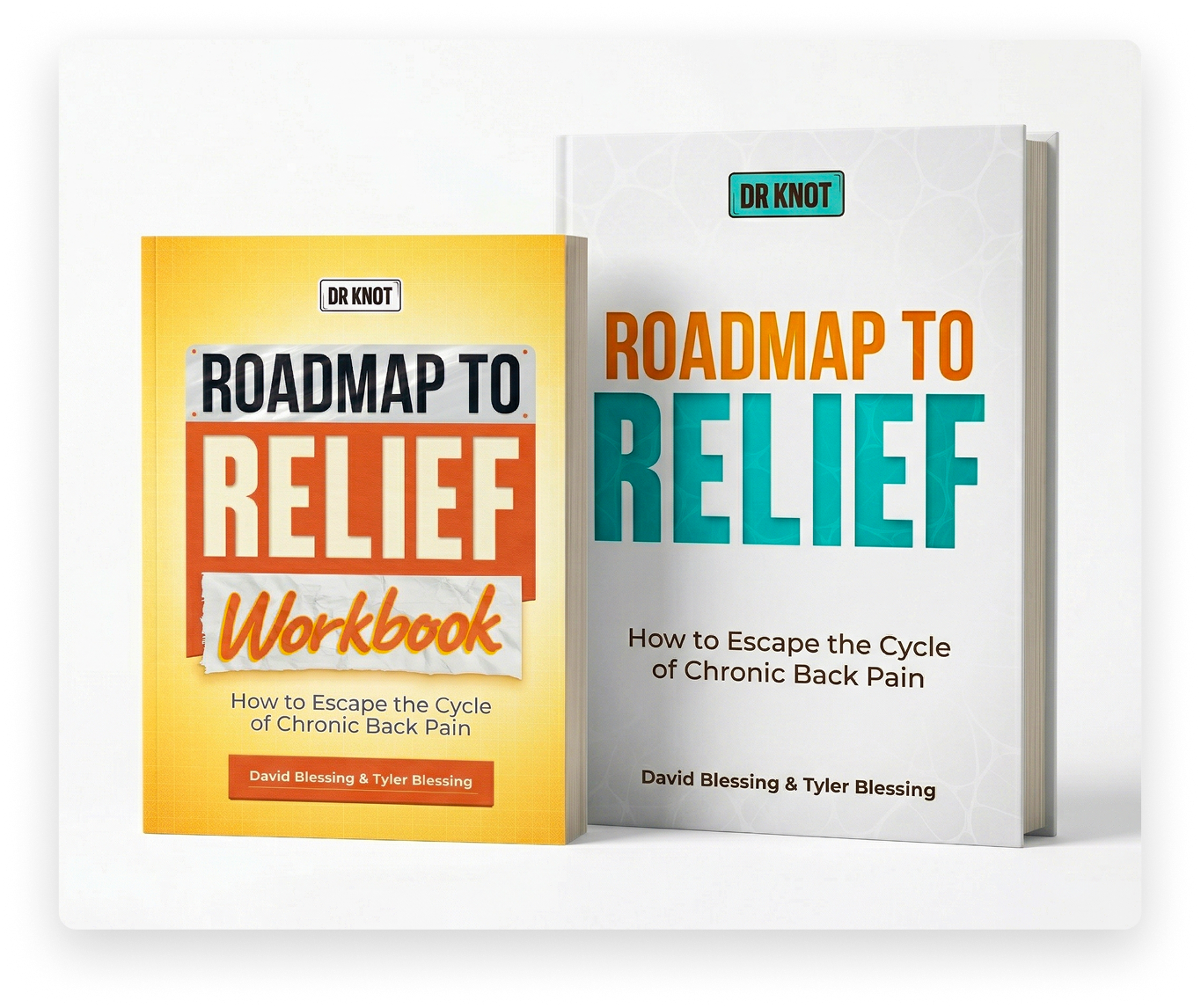 Roadmap to Relief book and workbook mockup pair